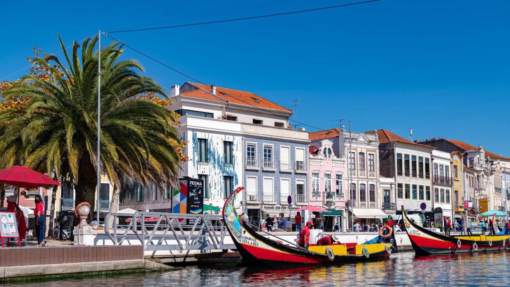 Colorful boats are docked along a canal in front of pastel-colored buildings with red-tiled roofs on a sunny day—a perfect scene for Portugal travel and discovering the best things to do in Portugal. A palm tree shades people strolling the lively promenade.