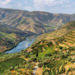 Terraced vineyards and olive groves cover hillsides along a winding river, with mountains in the background—an inviting scene for Portugal activities and discovering the best things to do Portugal has to offer.