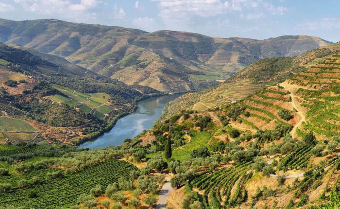Terraced vineyards and olive groves cover hillsides along a winding river, with mountains in the background—an inviting scene for Portugal activities and discovering the best things to do Portugal has to offer.