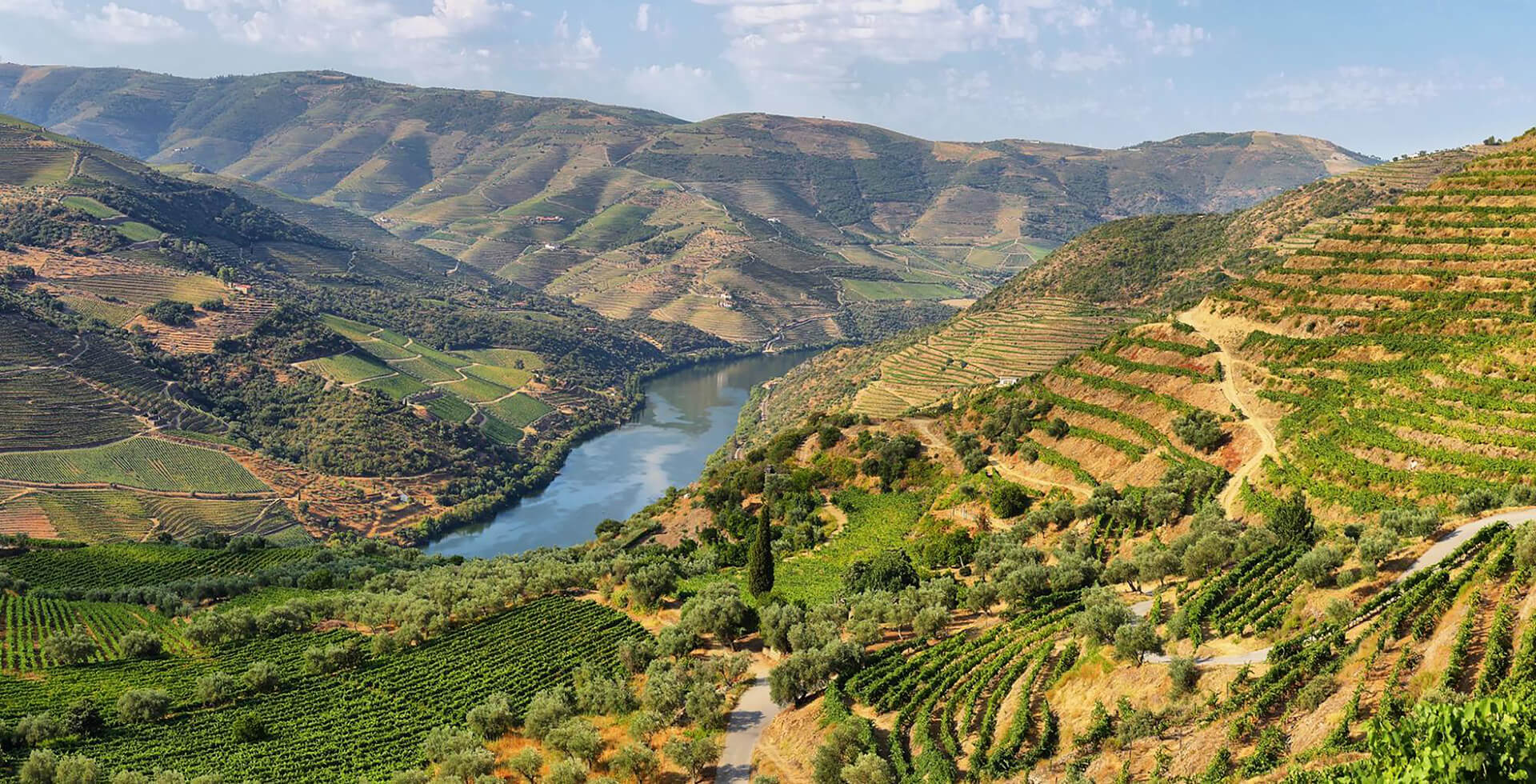 Terraced vineyards and olive groves cover hillsides along a winding river, with mountains in the background—an inviting scene for Portugal activities and discovering the best things to do Portugal has to offer.