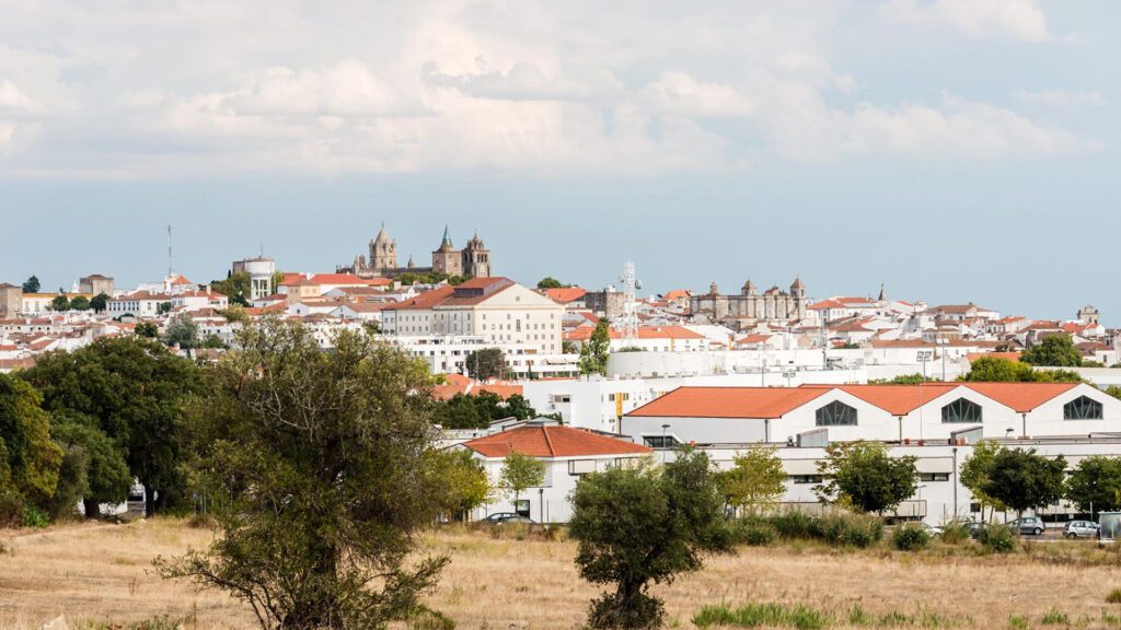 Panoramic view of a town with white buildings and red-tiled roofs, nestled in one of the best wine regions of Portugal, surrounded by trees and grassy fields under a cloudy sky.