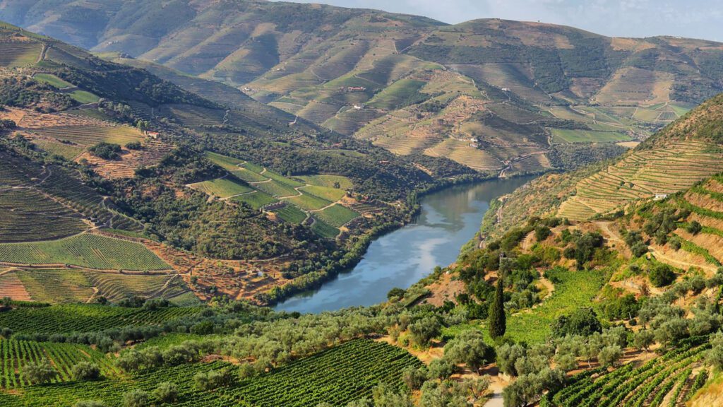 A river runs through a valley with terraced vineyards and green hills on both sides under a partly cloudy sky, capturing the beauty of one of the best wine regions Portugal has to offer.