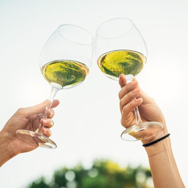 Two hands clinking wine glasses filled with Portuguese wine outdoors against a bright sky.