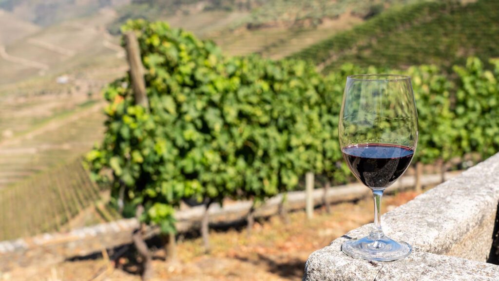 A glass of red wine sits on a stone ledge, overlooking a vineyard and rolling hills that evoke the scenic charm of wine regions in Portugal.